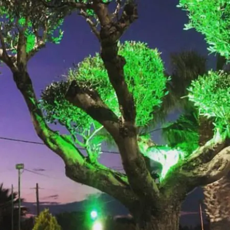 Diam παραθεριστική