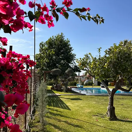 Κτημα Διαμαντοπουλου Παραθεριστική Κατοικία Kalamaki (Achaea)